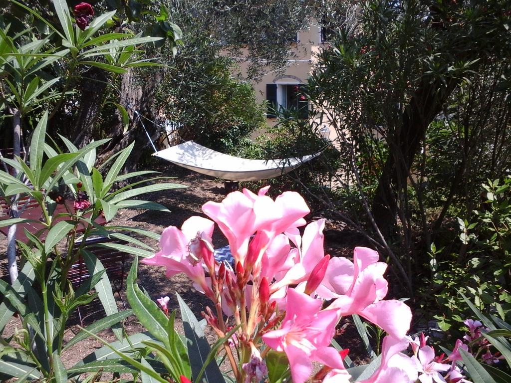 B&B Ududemà Dolcedo Exterior foto